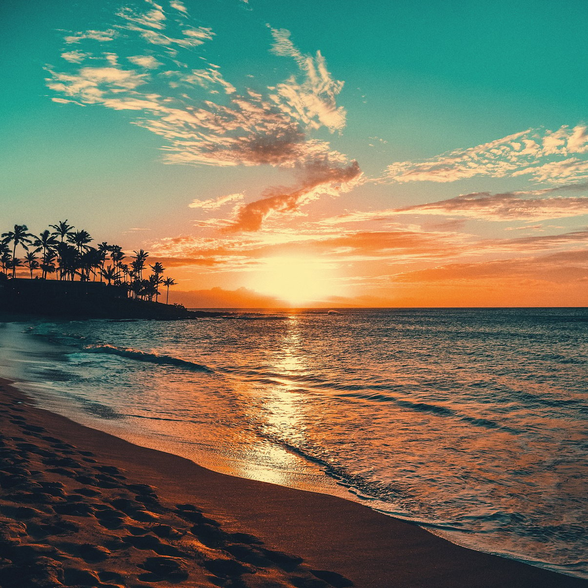 Scenic Tropical Beach Sunset